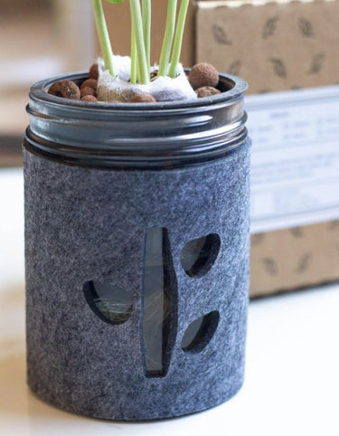Mason Jar Indoor Garden Supplies Kit - Basil